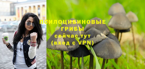 каннабис Приозерск