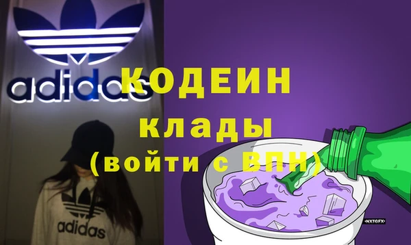индика Абинск
