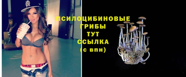 гидропоника Абдулино