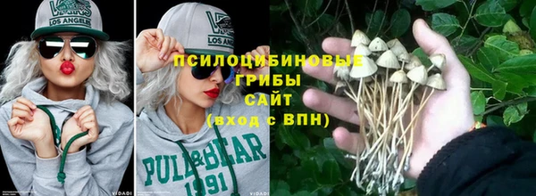 индика Абинск