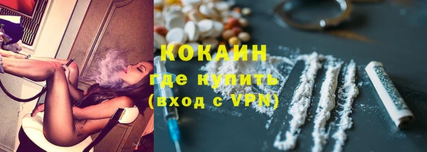 индика Абинск