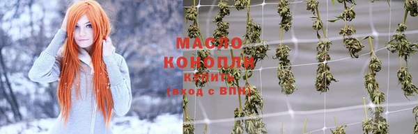 индика Абинск