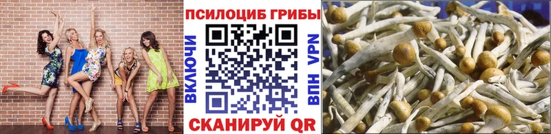 MEGA ТОР закладки Красный Сулин Галлюциногенные грибы Magic Shrooms