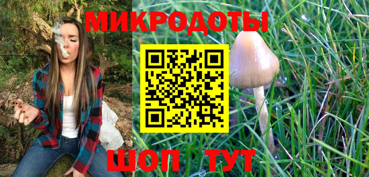 Галлюциногенные грибы MAGIC MUSHROOMS Красный Сулин