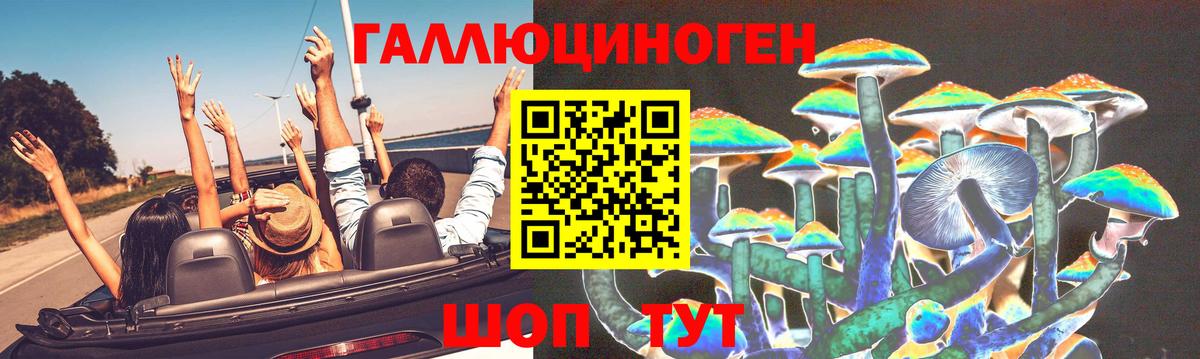 цена   Псилоцибиновые грибы мицелий  Вход с VPN  Красный Сулин  Галлюциногенные грибы мицелий 