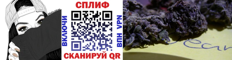 мориарти как зайти  Красный Сулин  МАРИХУАНА тримм 